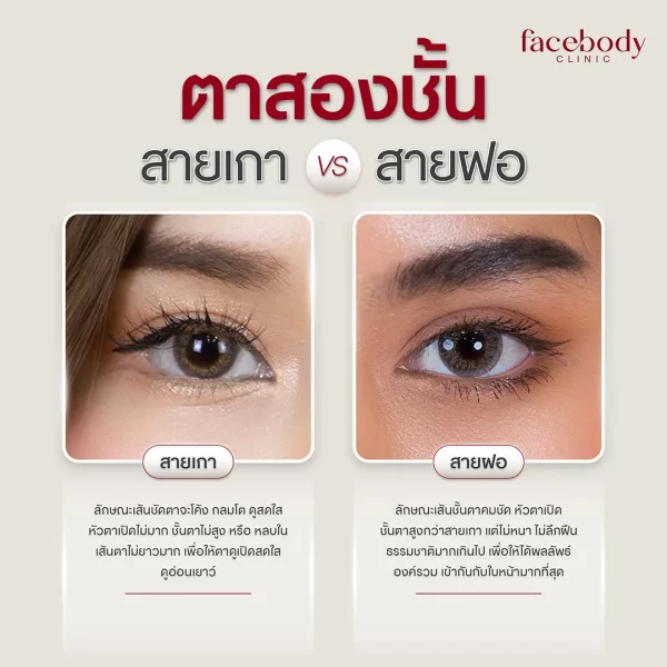 ทำตา 2 ชั้น